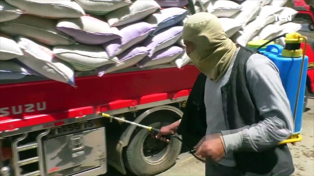 غرفة العمليات المركزية لمتابعة استلام القمح: استلام 487 ألف طن قمح مع اتباع الإجرءات الاحترازية