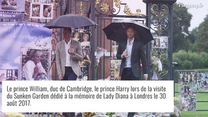 Harry et William d'accord malgré les tensions : ce bel hommage à Diana qu'ils autorisent après 25 ans