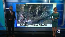 Memorial Hermann Doctor Killed In Tesla Crash