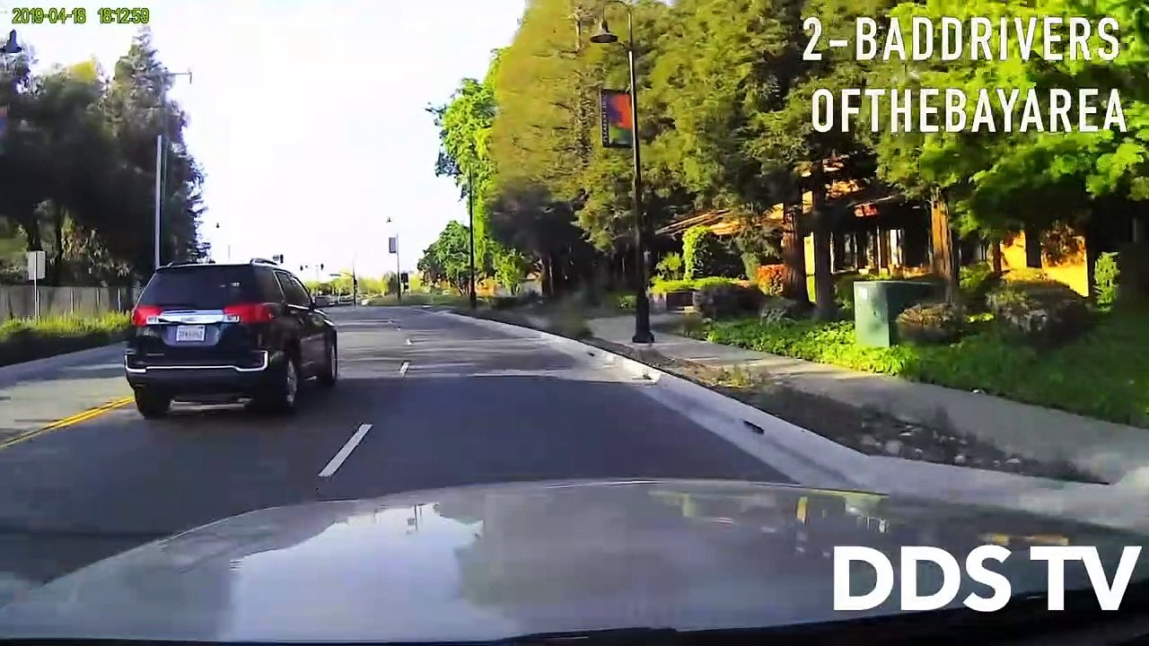 Dr. Ross Caught In Life-Changing Car Crash | The Vet Life