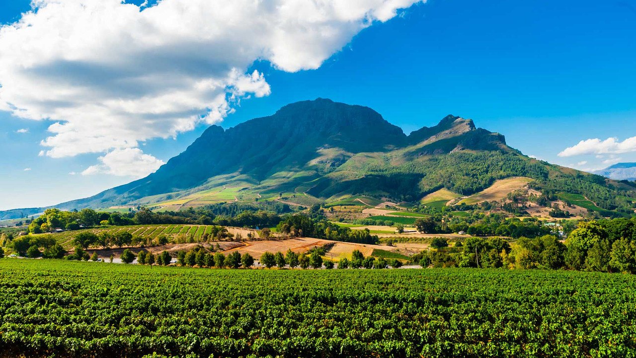 5 Amazing Wine Destinations in Africa for Delicious Drinks and Beautiful Views