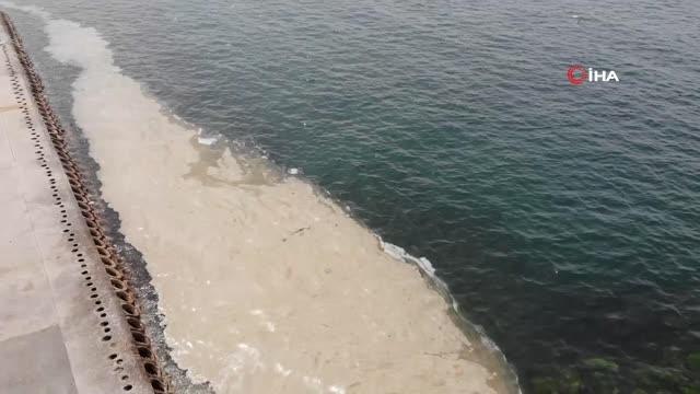 Caddebostan Sahili'nde deniz salyası tedirginliği artarak devam ediyor