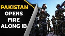 Pakistan breaches ceasefire deal along IB, says India's BSF spokesperson | Oneindia News