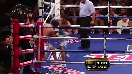 Juan Manuel Marquez (Mexico) vs Juan Diaz (USA) _ KNOCKOUT, BOXING fight, HD