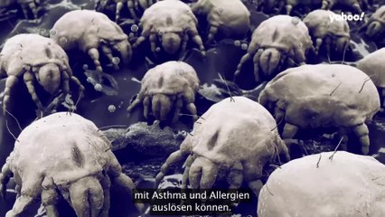 Nachhaltig sauber: Verbessere Deine Putzkünste