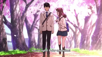 Aerial Hammock Drop : Bunny Drop Level 1