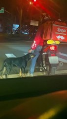 Pup Gets a Pet While Waiting on Light