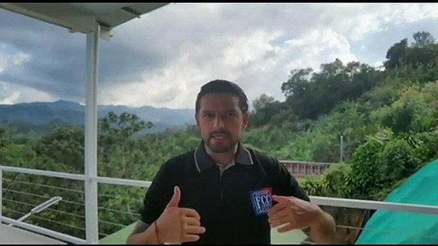 ext-Animalistas denuncian video donde jóvenes lanzan gatos al vacío-260421