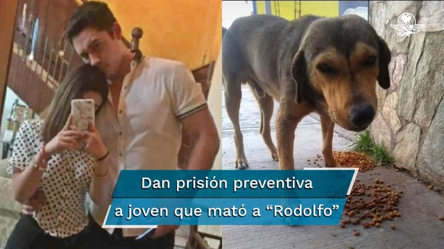 Procesan a joven que mató a perrito “Rodolfo con un hacha en Los Mochis