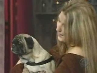 Chien qui parle qui dit je t'aime