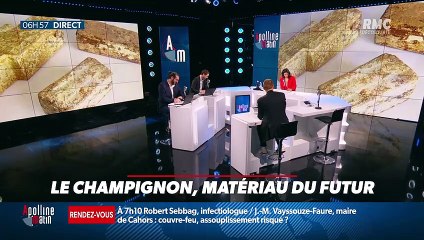 La chronique d'Anthony Morel : Le champignon, matériau du futur - 27/04