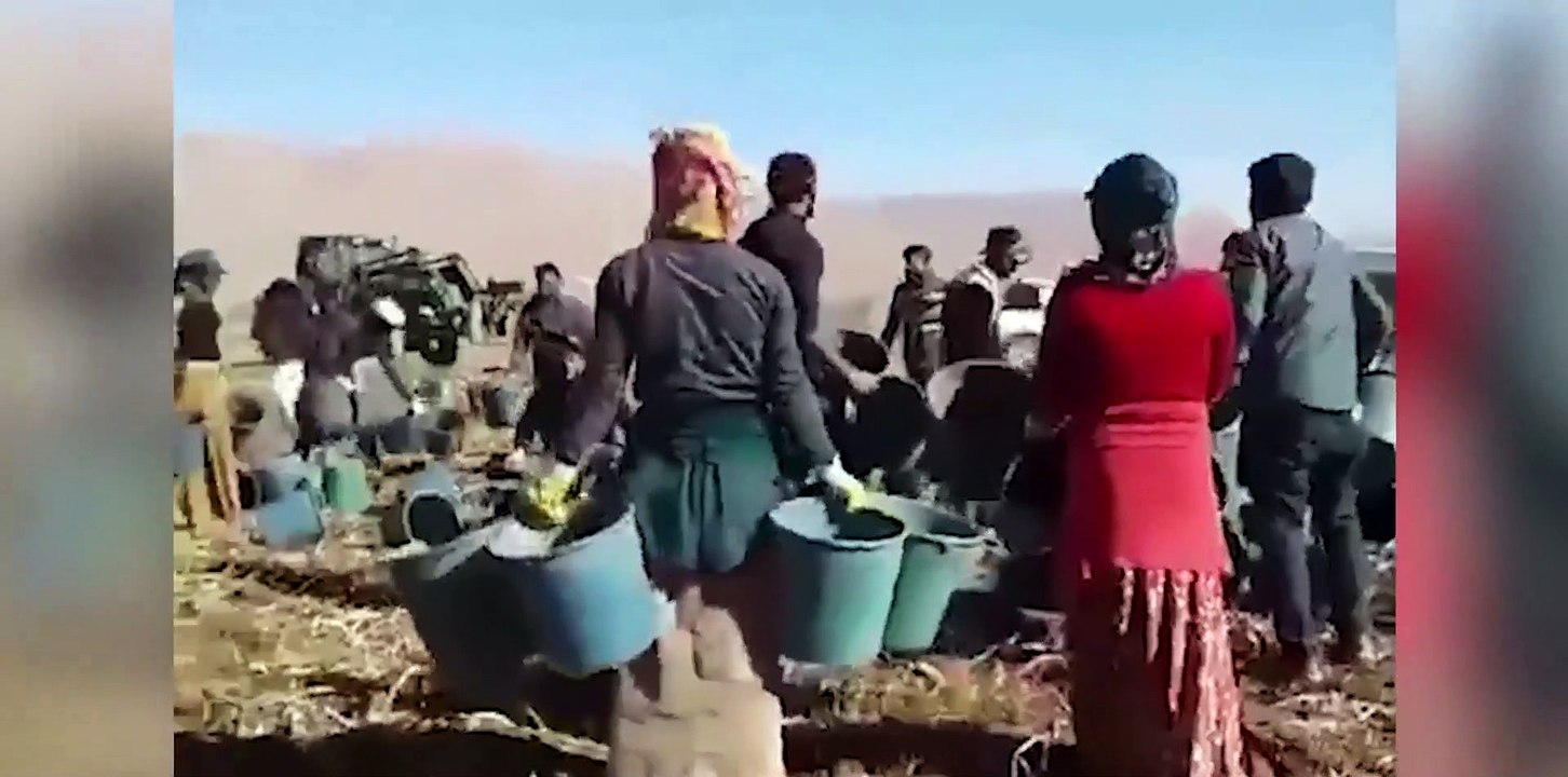 Mevsimlik işçiler işte böyle paydos etti