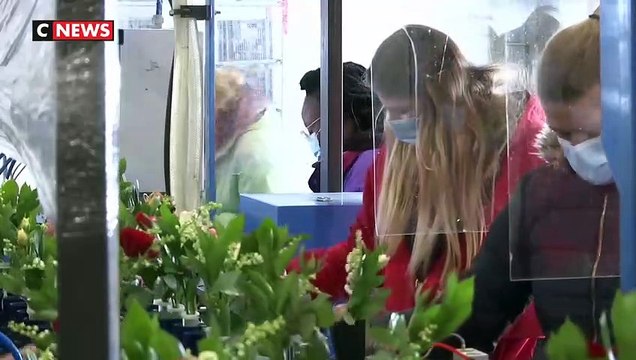Fleuristes, jardineries, associations et particuliers pourront cette année vendre le traditionnel brin de muguet du 1er-Mai dans des conditions quasiment habituelles