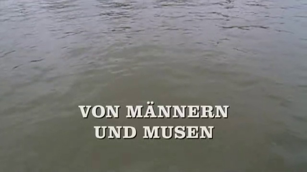 Großstadtrevier - 292. Von Männern und Musen