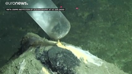 ΗΠΑ: Τοξικά απόβλητα στον βυθό της θάλασσας - Απομεινάρια του Δευτέρου Παγκοσμίου Πολέμου