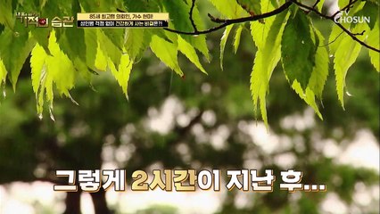 최초공개 방구석 독주회 현미의 피아노 연주 TV CHOSUN 210427 방송