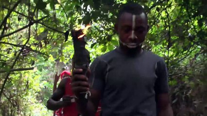 Visions Chamaniques : Territoires Oubliés