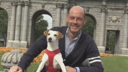 Pipper, el perro 'influencer'