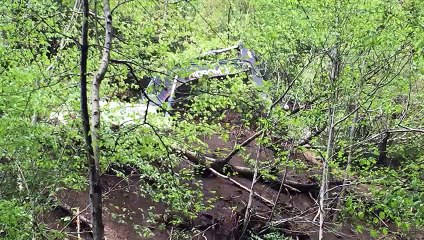 İkizdere'de Cengiz, ağaçları söküyor: Halk direnişte