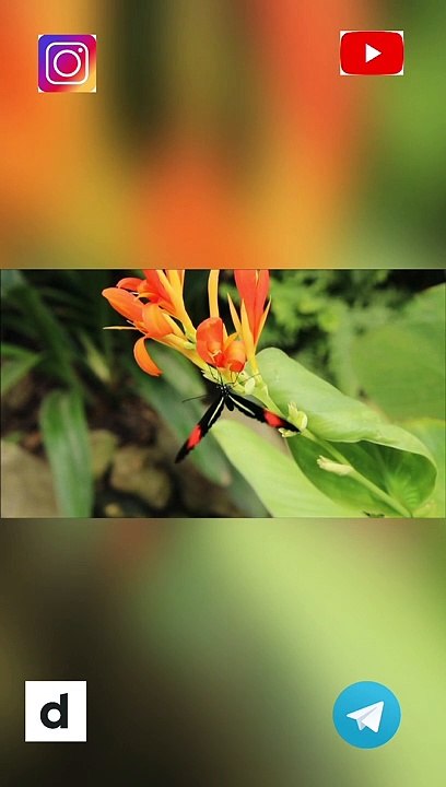 Happy Relaxing  Instrumental Music - Positive Energy