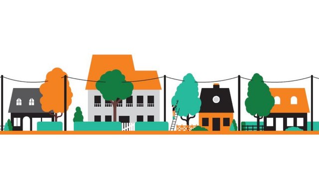 Pour rester branché, élaguez - Réseaux - Orange