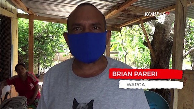 Ribuan Ikan Mati Misterius Di Air Payau