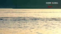 Marmara denizinde yunuslar balıkçı tekneleriyle yarıştı