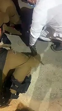السيطرة على تمساح كان يتجول بالسعودية