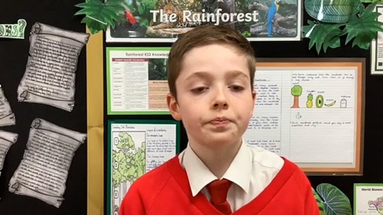 The Brick Poetry Competition