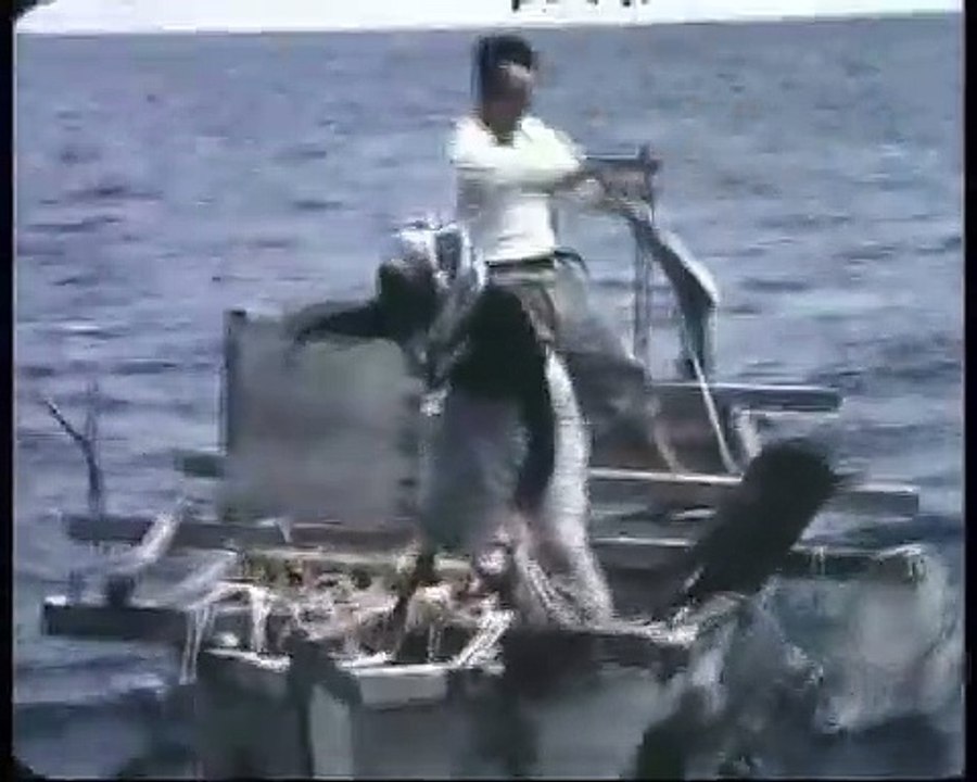 Pearl Diving and Children in Japan 1960