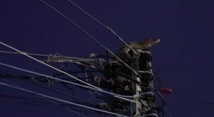 เรื่องพลบค่ำ ช่วงที่ 2 วันอังคารที่ 27 เม.ย.64