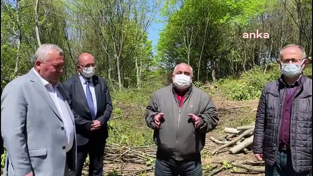 DP'li Engingurt: Bu ağacı kesenlere yuh olsun, yazıklar olsun!