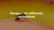 Dengue : les différents symptômes