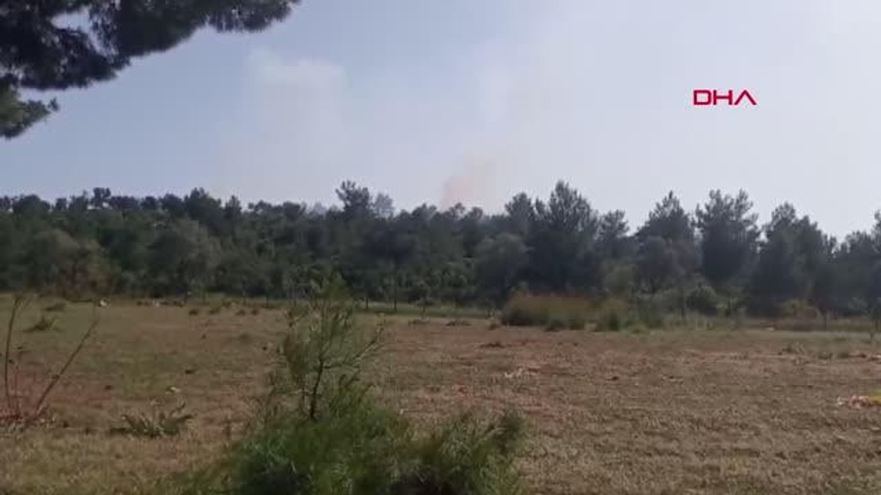 ANTALYA MAKİLİK ALANDA ÇIKAN YANGIN KISA SÜREDE KONTROL ALTINA ALINDI