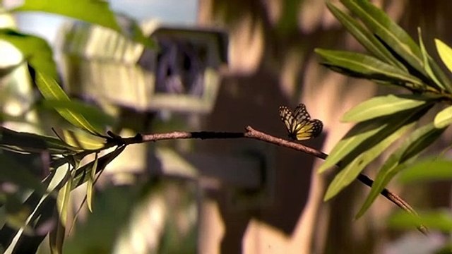 Garden Party - Illogic - Court-Métrage Nommé Aux Oscars