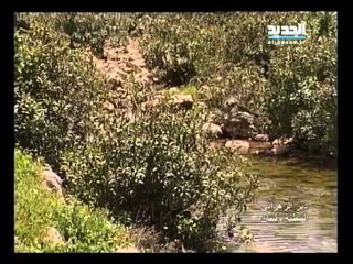 صورة ونغمة - دير الزهراني