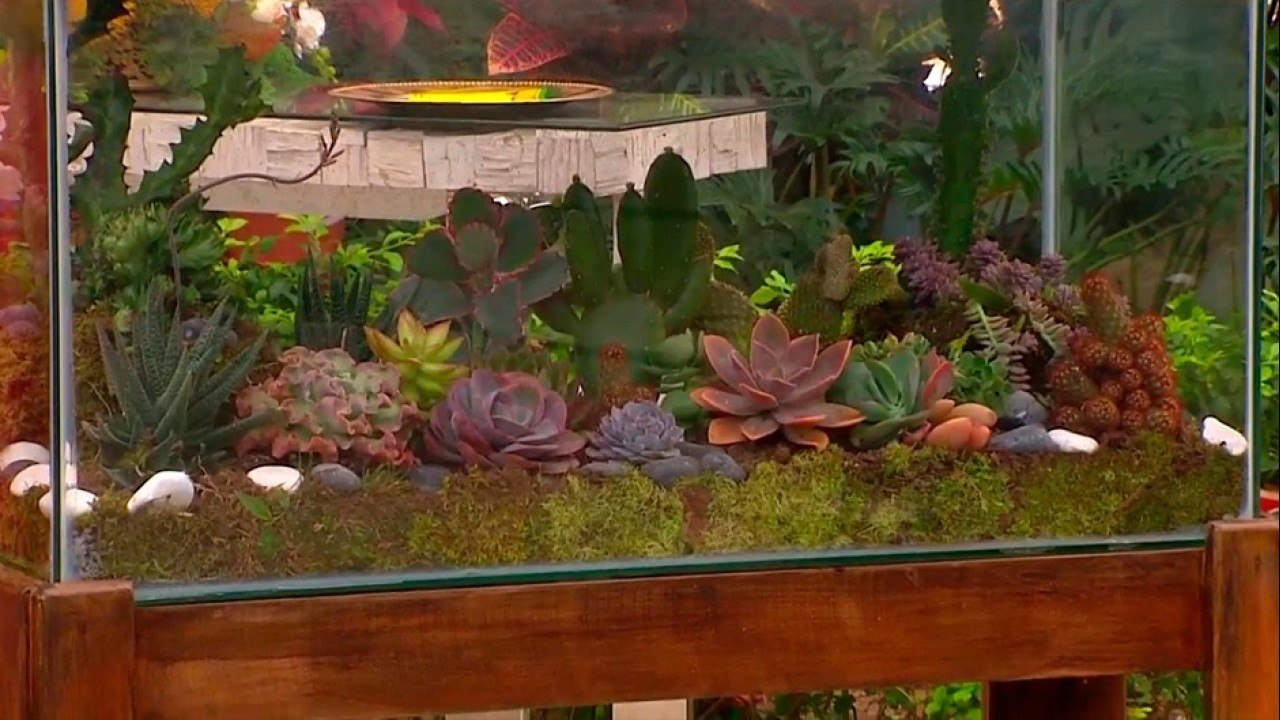 bd-terrarios-en-recipientes-de-vidrio-270421