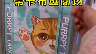 Cat go to Shopping Center  Funny cat videos 2021  Funny catsfunny cat videos_1080p
