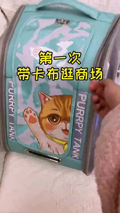 Cat go to Shopping Center  Funny cat videos 2021  Funny catsfunny cat videos_1080p