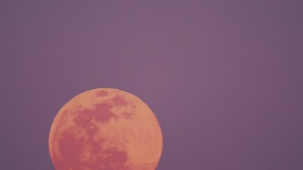 Superluna rosa: ¿cuándo y cómo ver este sorprendente fenómeno?