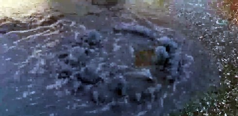 Vatandaşlar şaşkın! Rögar kapağından renkli su çıktı...