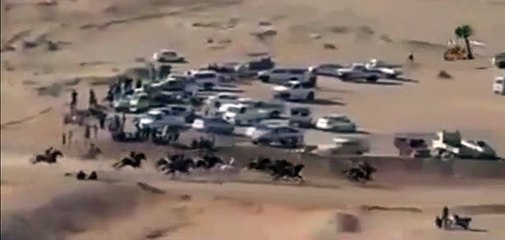 Polis aracı yarış atları ile çarpıştı