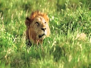 برامج وثائقية-Promo