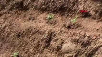 İZMİR'DE İKİ AYRI OPERASYONDA KAÇAK AKARYAKIT VE HİNT KENEVİRİ ELE GEÇİRİLDİ