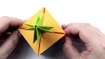 Money Origami Angel Fish Tutorial - Step By Step
