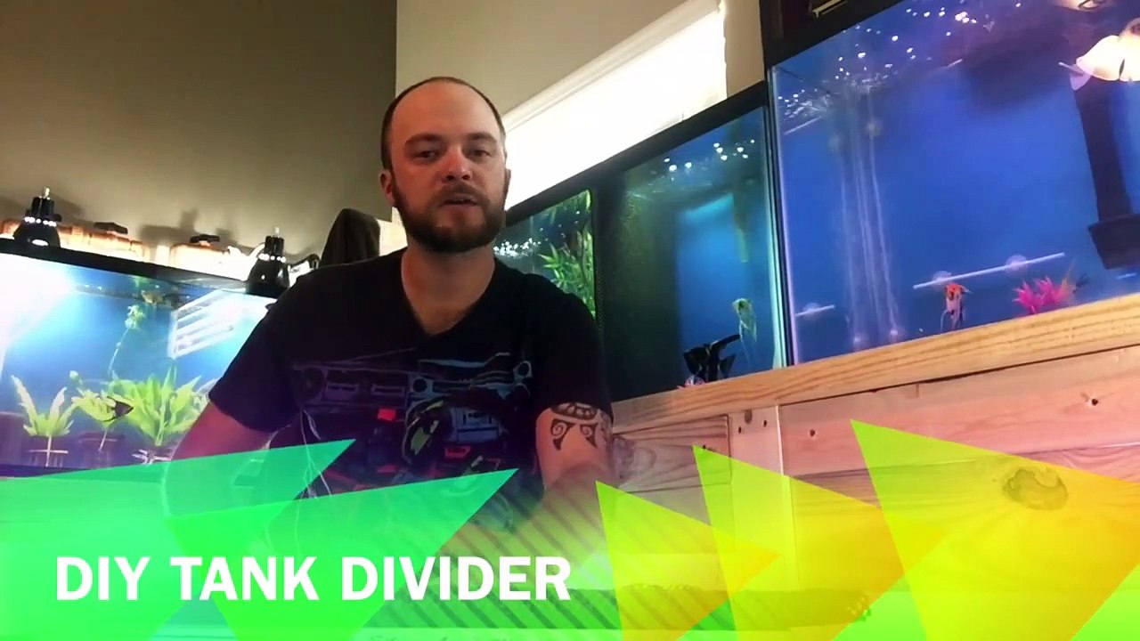 Diy Dollar Tree Home Decor | Decorating Ideas On A Budget!