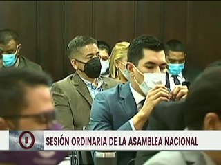 AN aprobó en primera discusión la Ley Orgánica de Zonas Económicas Especiales