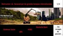 Destruction du Sarawak par les grandes banques internationales. 1/3