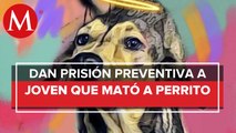 En Sinaloa, vinculan a proceso a presunto asesino de perrito Rodolfo Corazón
