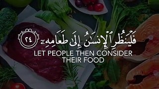 فلينظر الإنسان الى طعامه - القارئ اسلام صبحى